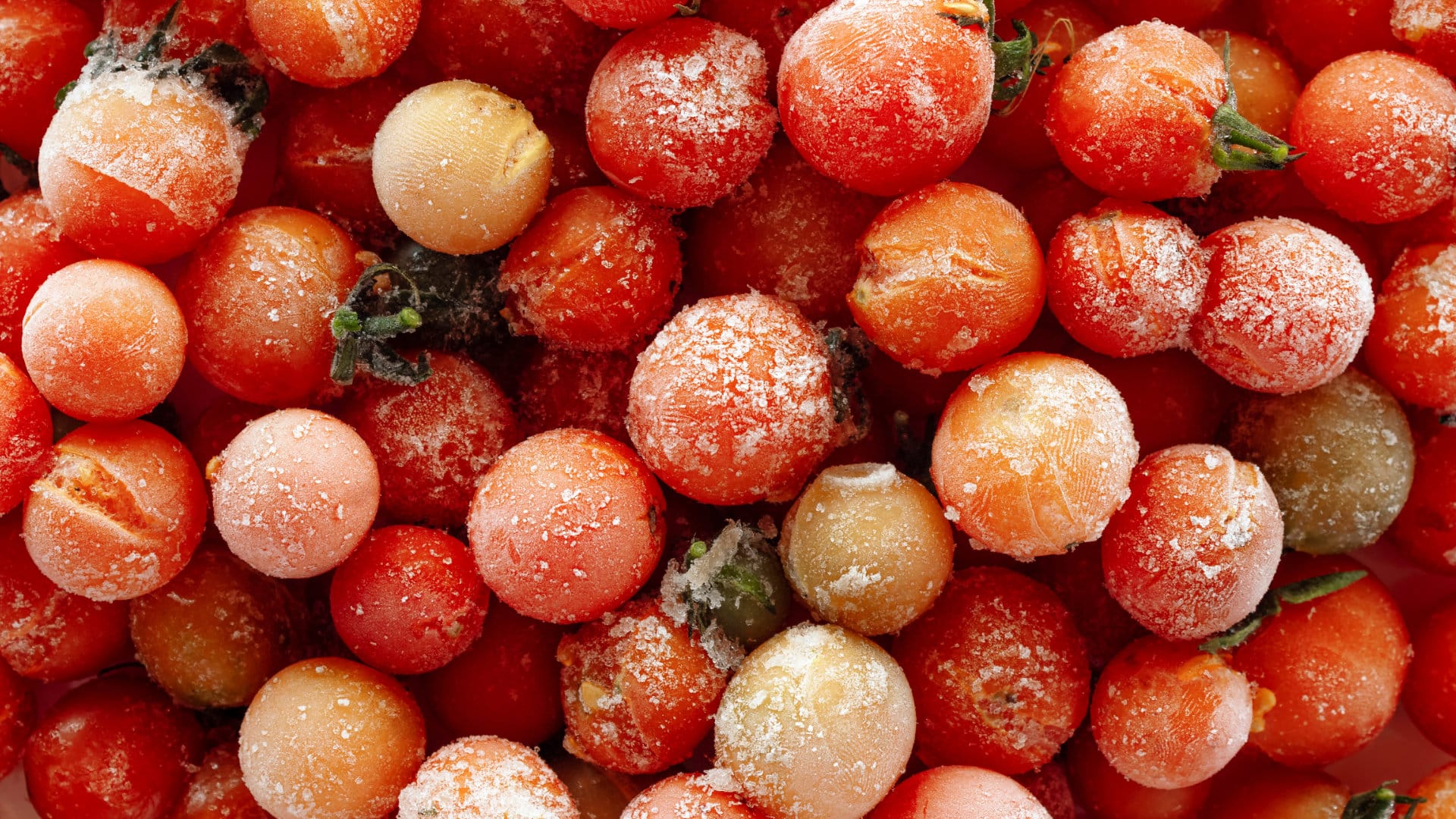 How to Freeze Tomatoes the Easy Way